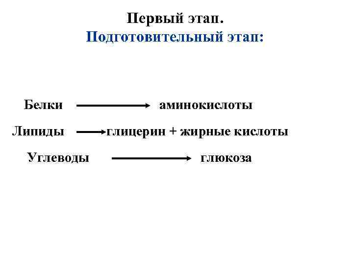 Первый этап. Подготовительный этап: Белки Липиды Углеводы аминокислоты глицерин + жирные кислоты глюкоза 