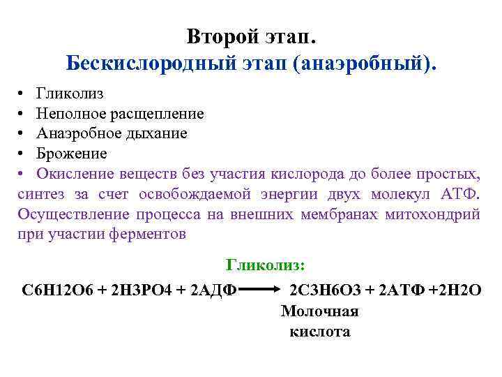 Второй этап. Бескислородный этап (анаэробный). • Гликолиз • Неполное расщепление • Анаэробное дыхание •