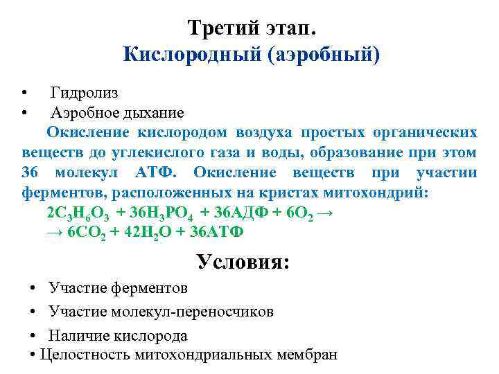 Кислородный этап дыхания. Аэробное дыхание кислородный этап. Этапы аэробного дыхания. Третий этап кислородный этап. Стадии аэробного дыхания.