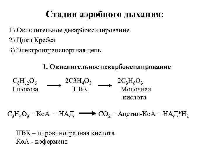Стадии аэробного дыхания: 1) Окислительное декарбоксилирование 2) Цикл Кребса 3) Электронтранспортная цепь 1. Окислительное