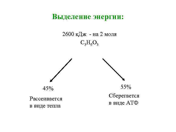 Выделение энергии: 2600 к. Дж - на 2 моля С 3 Н 6 О