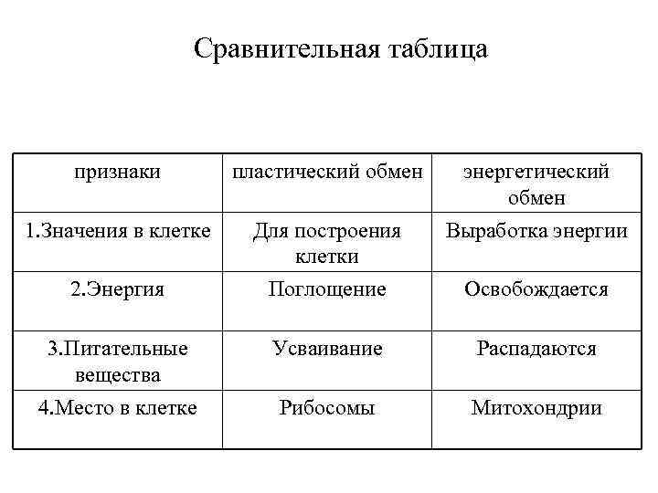 Таблица обмен веществ 8 класс биология