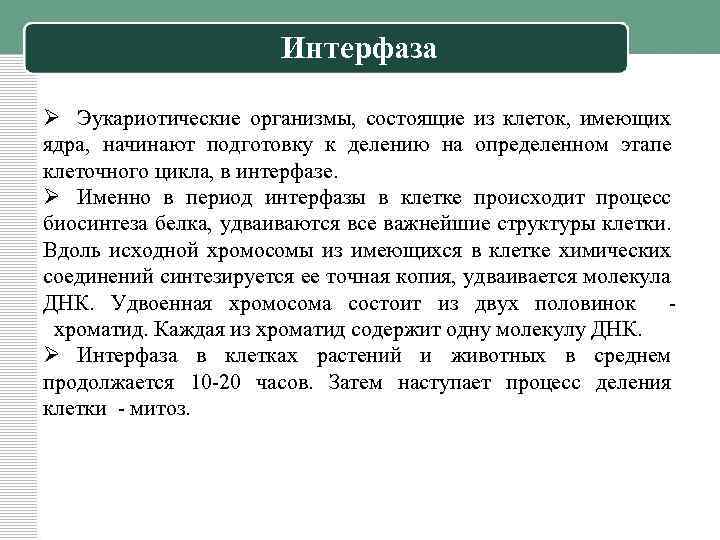 Интерфаза Ø Эукариотические организмы, состоящие из клеток, имеющих ядра, начинают подготовку к делению на