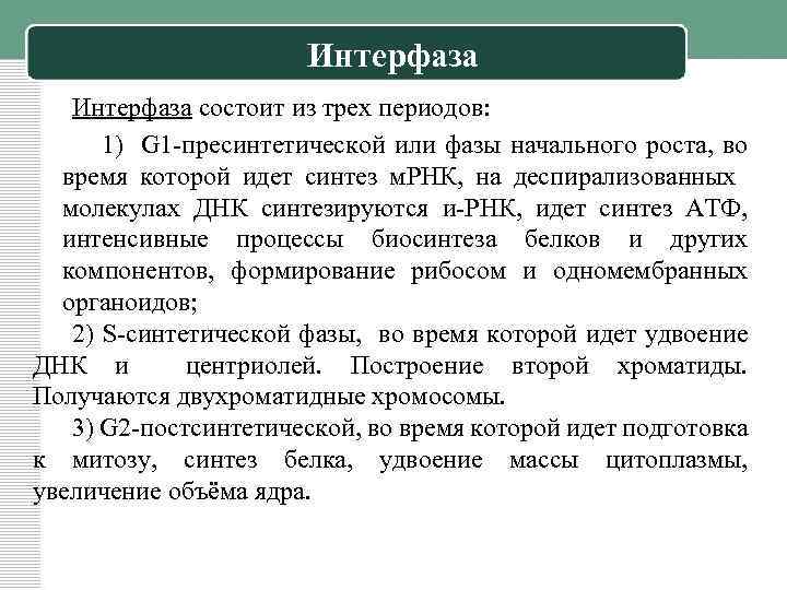 Интерфаза состоит из трех периодов: 1) G 1 -пресинтетической или фазы начального роста, во