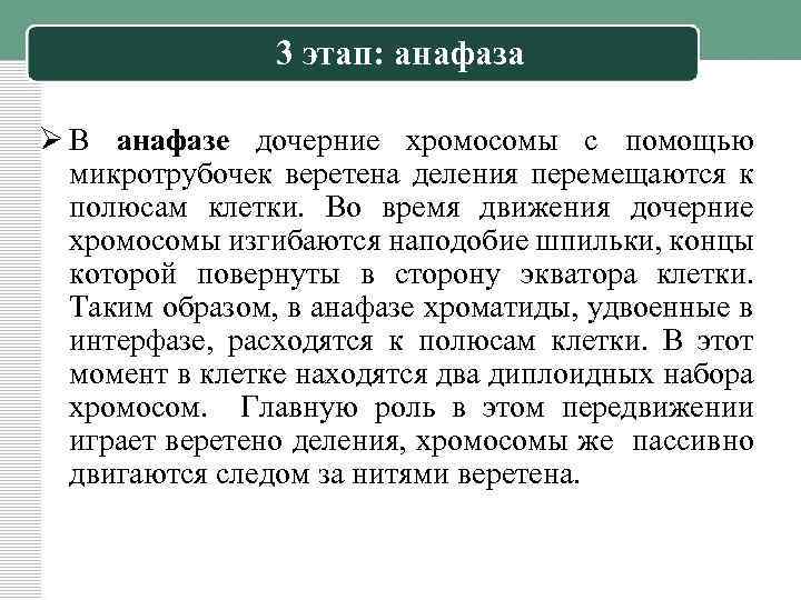 3 этап: анафаза Ø В анафазе дочерние хромосомы с помощью микротрубочек веретена деления перемещаются
