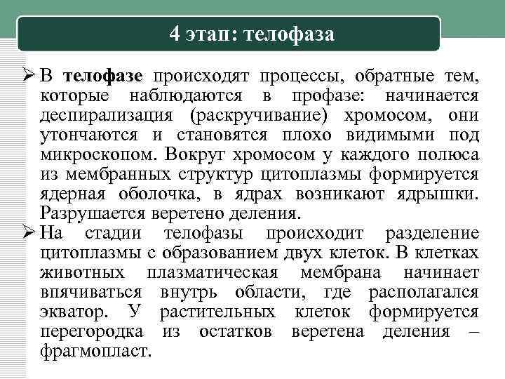 4 этап: телофаза Ø В телофазе происходят процессы, обратные тем, которые наблюдаются в профазе: