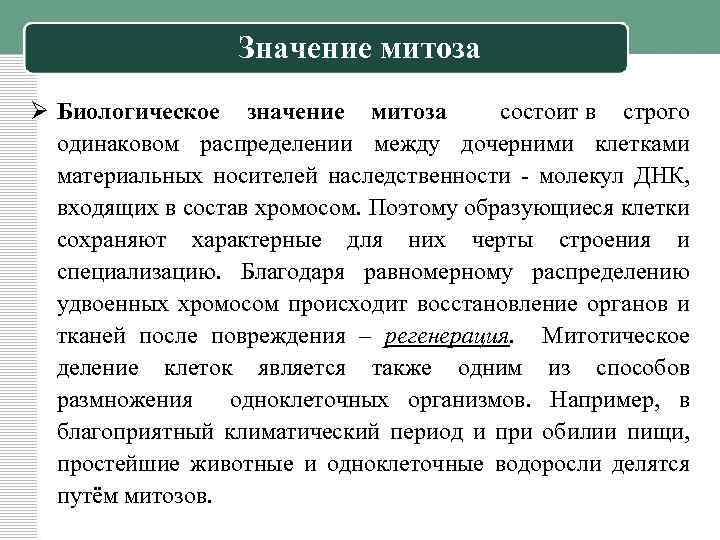 Значение митоза Ø Биологическое значение митоза состоит в строго одинаковом распределении между дочерними клетками