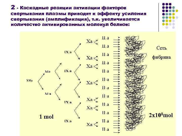 Реакция активации. Каскадная реакция. Каскадные реакции физиология. Каскадные реакции в зеленой химии.