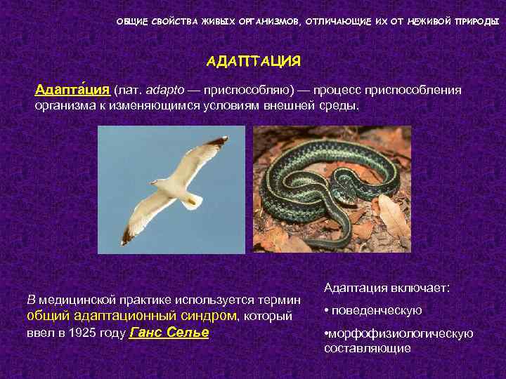 ОБЩИЕ СВОЙСТВА ЖИВЫХ ОРГАНИЗМОВ, ОТЛИЧАЮЩИЕ ИХ ОТ НЕЖИВОЙ ПРИРОДЫ АДАПТАЦИЯ Адапта ция (лат. adapto