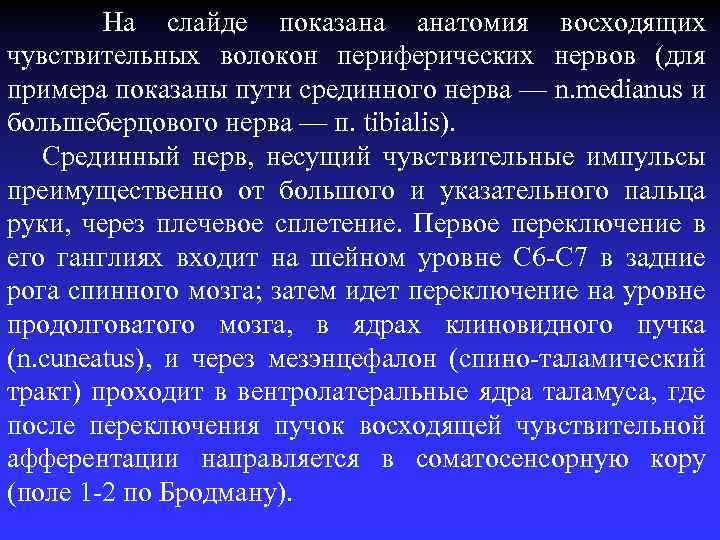 На слайде показана анатомия восходящих чувствительных волокон периферических нервов (для примера показаны пути срединного
