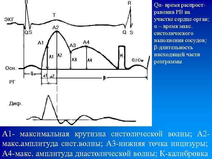 Qα- время распространения РВ на участке сердце-орган; α – время макс. систолического наполнения сосудов;