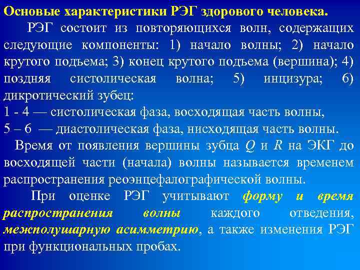 Основые характеристики РЭГ здорового человека. РЭГ состоит из повторяющихся волн, содержащих следующие компоненты: 1)