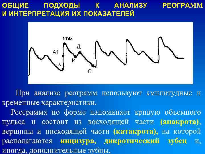 ОБЩИЕ ПОДХОДЫ К АНАЛИЗУ И ИНТЕРПРЕТАЦИЯ ИХ ПОКАЗАТЕЛЕЙ РЕОГРАММ При анализе реограмм используют амплитудные