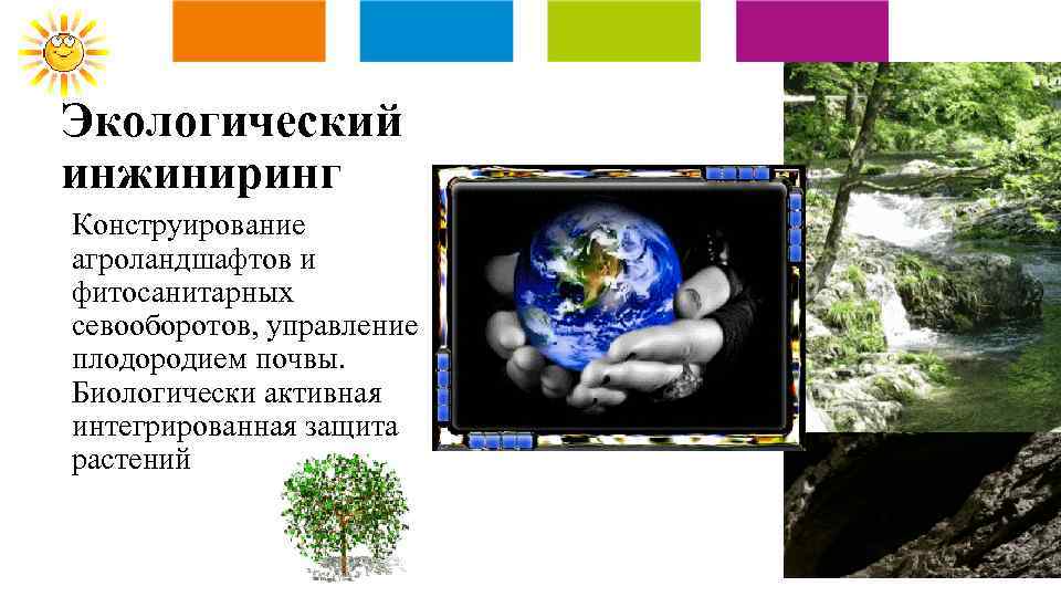 Экологический инжиниринг Конструирование агроландшафтов и фитосанитарных севооборотов, управление плодородием почвы. Биологически активная интегрированная защита