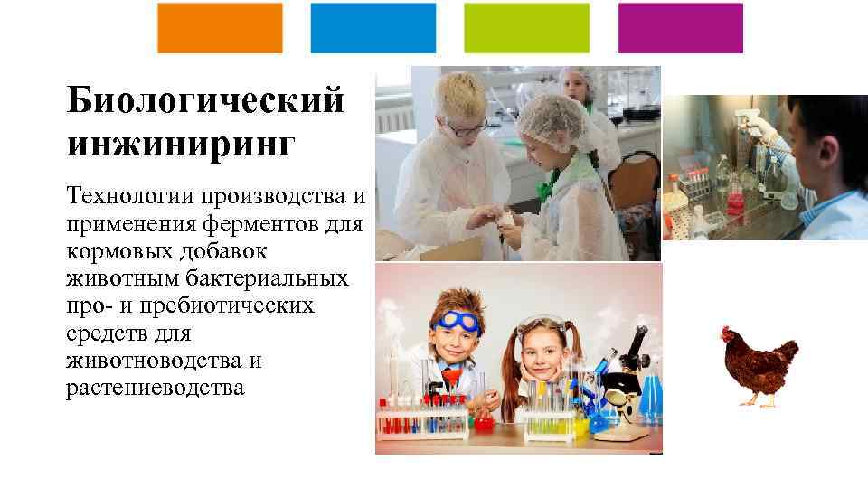 Биологический инжиниринг Технологии производства и применения ферментов для кормовых добавок животным бактериальных про- и