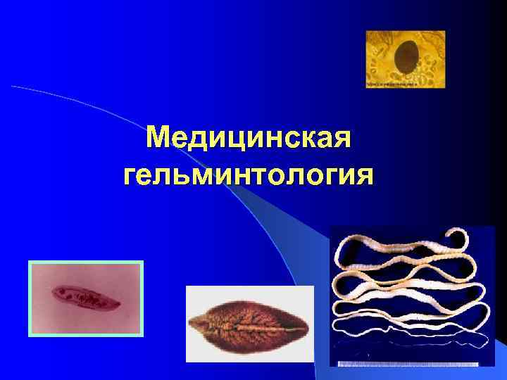 Медицинская гельминтология 