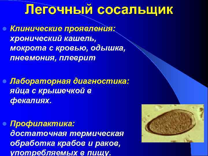 Легочный сосальщик l Клинические проявления: хронический кашель, мокрота с кровью, одышка, пневмония, плеврит l