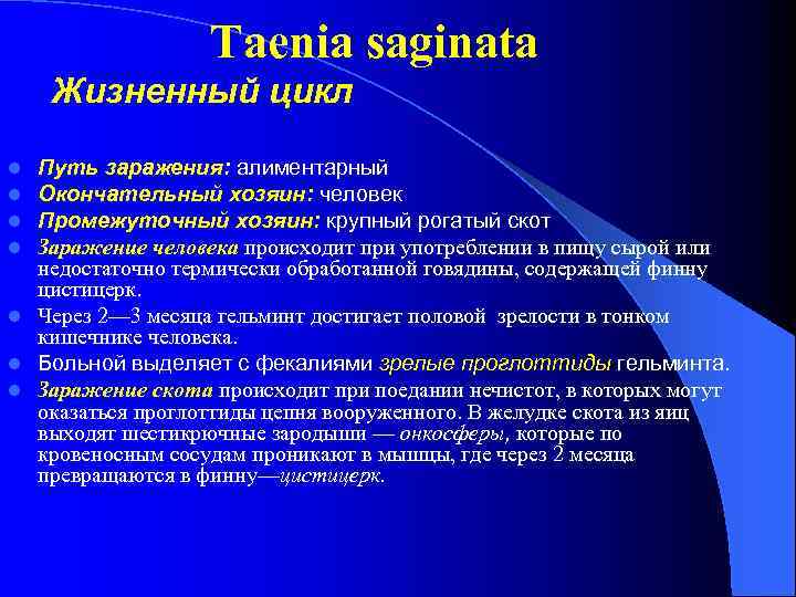 Taenia saginata Жизненный цикл Путь заражения: алиментарный Окончательный хозяин: человек Промежуточный хозяин: крупный рогатый