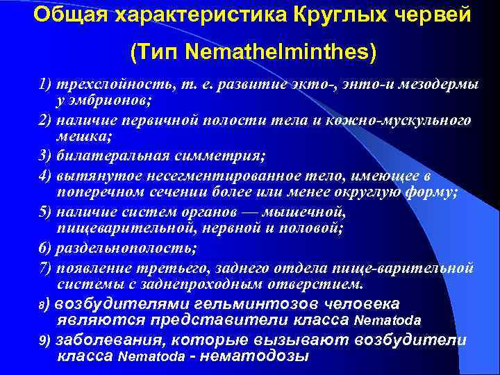 Общая характеристика Круглых червей (Тип Nemathelminthes) 1) трехслойность, т. е. развитие экто , энто