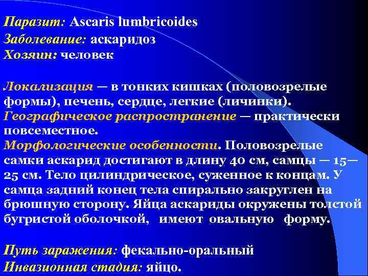 Паразит: Ascaris lumbricoides Заболевание: аскаридоз Хозяин: человек Локализация — в тонких кишках (половозрелые формы),