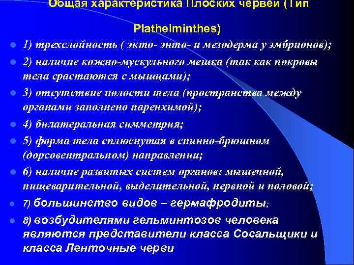 Общая характеристика Плоских червей (Тип l l l l Plathelminthes) 1) трехслойность ( экто