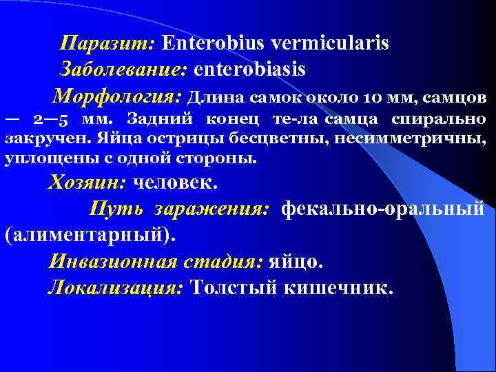 Паразит: Enterobius vermicularis Заболевание: enterobiasis Морфология: Длина самок около 10 мм, самцов — 2—