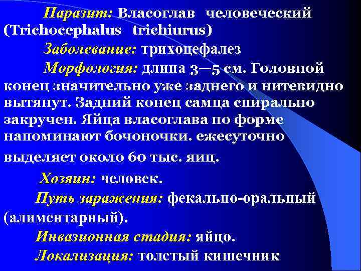Паразит: Власоглав человеческий (Trichocephalus trichiurus) Заболевание: трихоцефалез Морфология: длина 3— 5 см. Головной конец