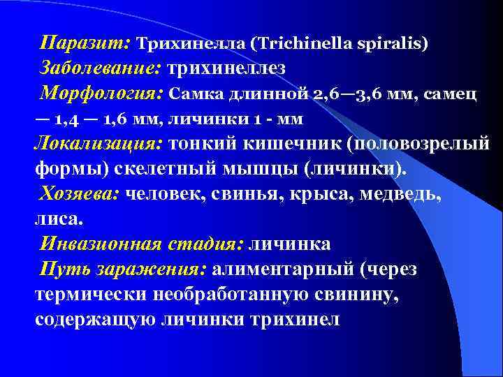 Паразит: Трихинелла (Trichinella spiralis) Заболевание: трихинеллез Морфология: Самка длинной 2, 6— 3, 6 мм,