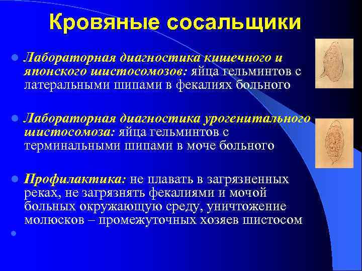 Кровяные сосальщики l Лабораторная диагностика кишечного и японского шистосомозов: яйца гельминтов с латеральными шипами