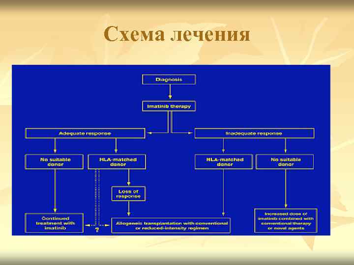 Схема лечения 