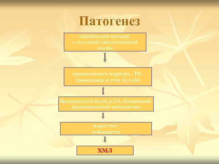 Патогенез соматическая мутация в стволовой гемопоэтической клетке хромосомного маркера - Phхромосомы и гена bcr-abl