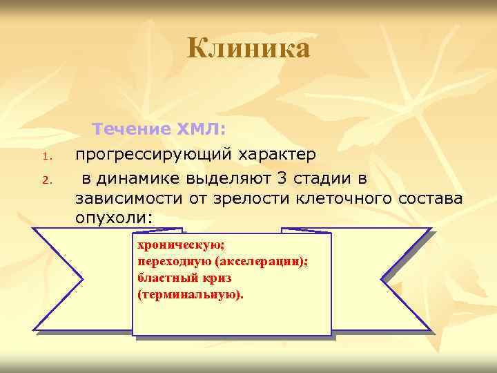 Клиника 1. 2. Течение ХМЛ: прогрессирующий характер в динамике выделяют 3 стадии в зависимости