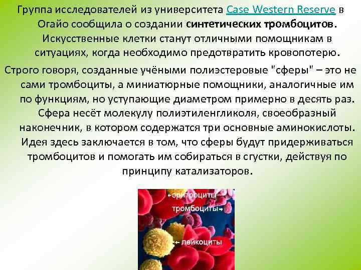 Группа исследователей из университета Case Western Reserve в Огайо сообщила о создании синтетических тромбоцитов.