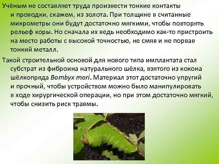 Учёным не составляет труда произвести тонкие контакты и проводки, скажем, из золота. При толщине