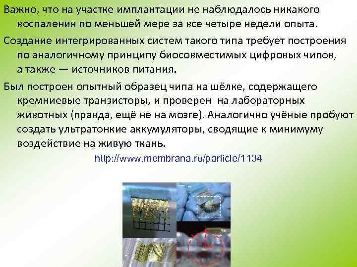 Важно, что на участке имплантации не наблюдалось никакого воспаления по меньшей мере за все