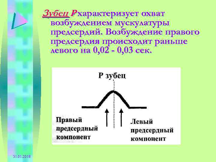 Зубец Р характеризует охват - возбуждением мускулатуры предсердий. Возбуждение правого предсердия происходит раньше левого