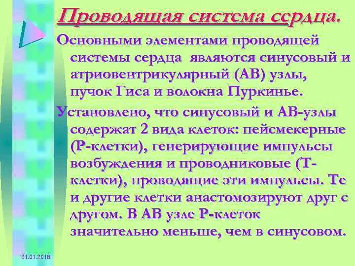 Проводящая система сердца. Основными элементами проводящей системы сердца являются синусовый и атриовентрикулярный (АВ) узлы,