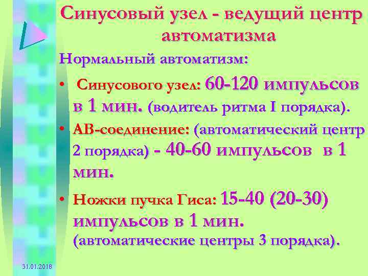 Синусовый узел - ведущий центр автоматизма Нормальный автоматизм: • Синусового узел: 60 -120 импульсов