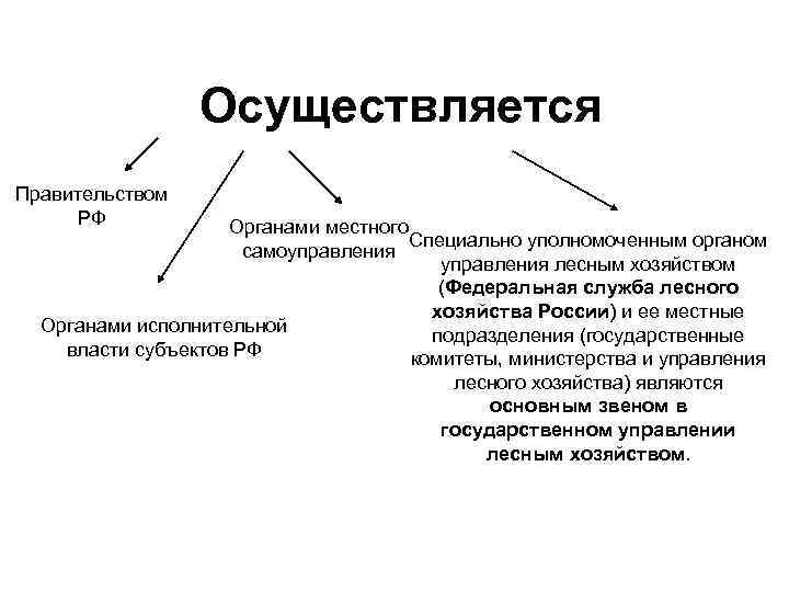 Осуществляется Правительством РФ Органами местного Специально уполномоченным органом самоуправления лесным хозяйством (Федеральная служба лесного