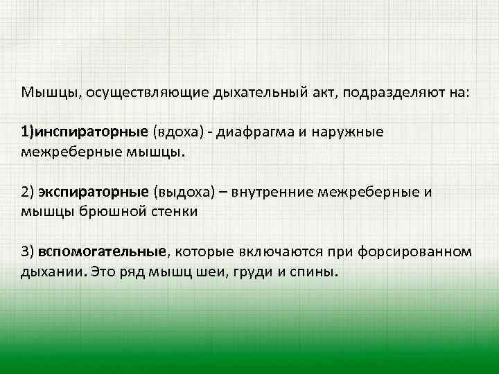 Мышцы, осуществляющие дыхательный акт, подразделяют на: 1)инспираторные (вдоха) - диафрагма и наружные межреберные мышцы.