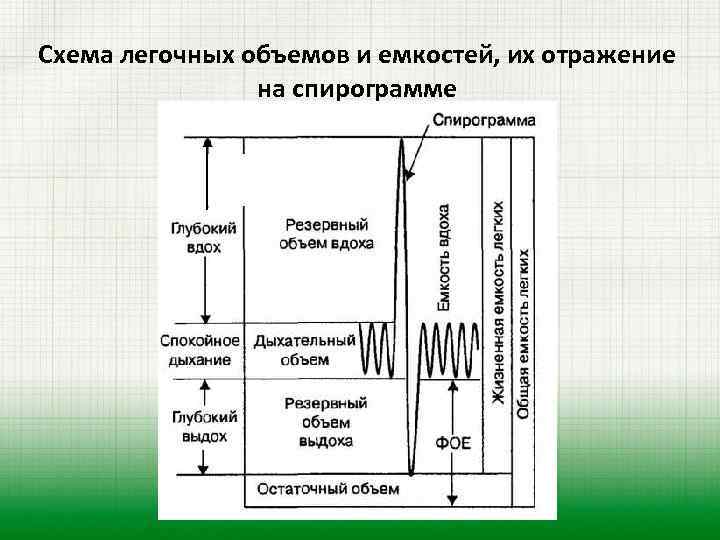 Схема легочных объемов