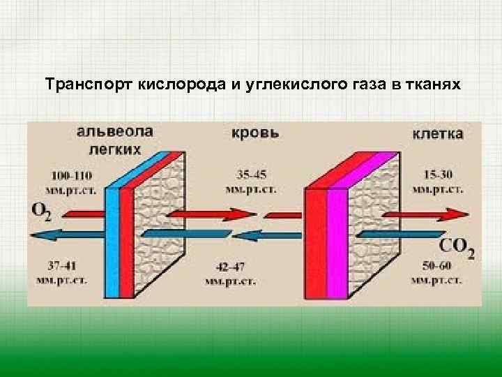 Напряжение кислорода