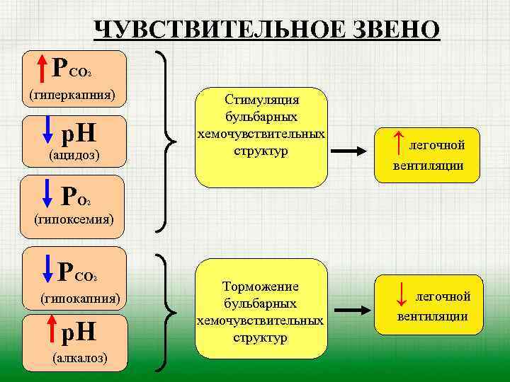 ЧУВСТВИТЕЛЬНОЕ ЗВЕНО РСО 2 (гиперкапния) р. Н (ацидоз) РО Стимуляция бульбарных хемочувствительных структур ↑