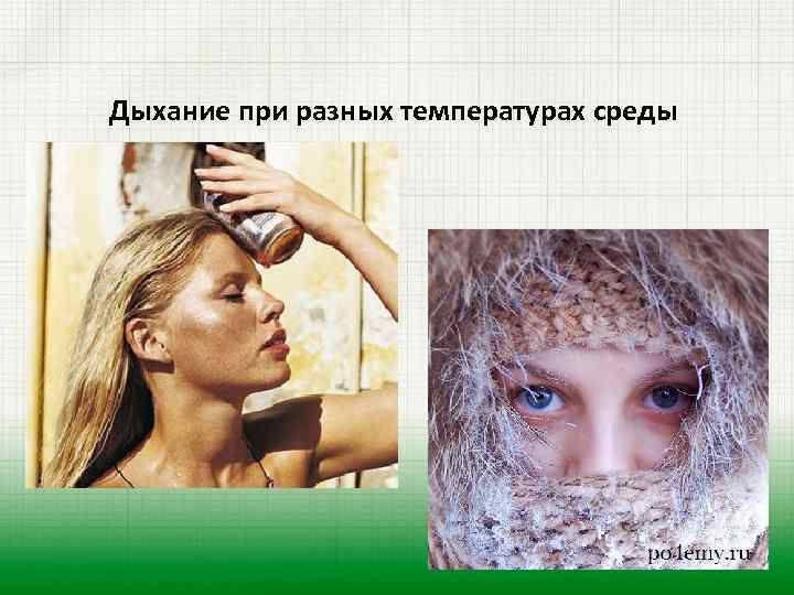 Дыхание при разных температурах среды 