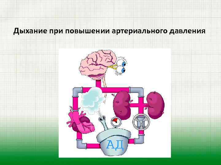 Дыхание при повышении артериального давления 