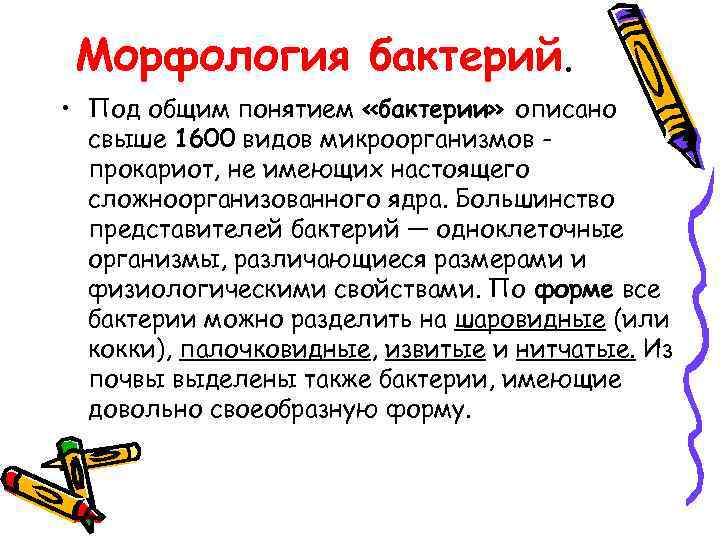 Морфология бактерий. • Под общим понятием «бактерии» описано свыше 1600 видов микроорганизмов прокариот, не