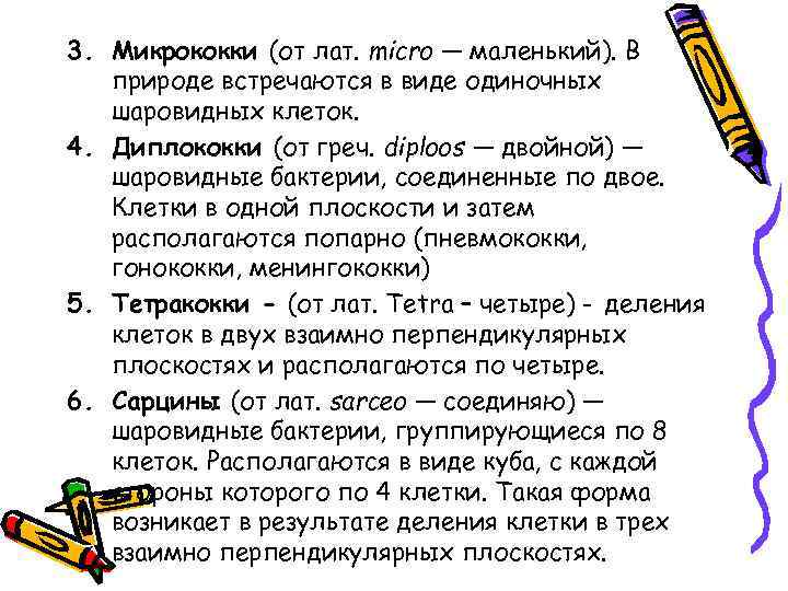 3. Микрококки (от лат. micro — маленький). В природе встречаются в виде одиночных шаровидных