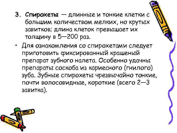 3. Спирохеты — длинные и тонкие клетки с большим количеством мелких, но крутых завитков;