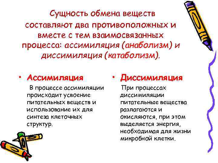 Сущность обмена веществ составляют два противоположных и вместе с тем взаимосвязанных процесса: ассимиляция (анаболизм)