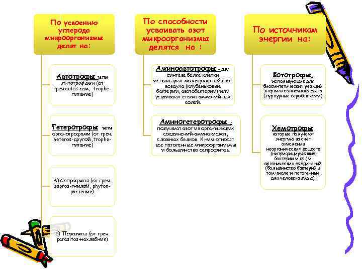По усвоению углерода микроорганизмы делят на: Автотрофы или литотрофами (от греч. autos-сам, tropheпитание) Гетеротрофы
